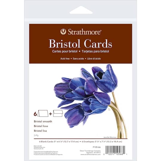 Strathmore® 400 Series Bristol Cards & Envelopes Set